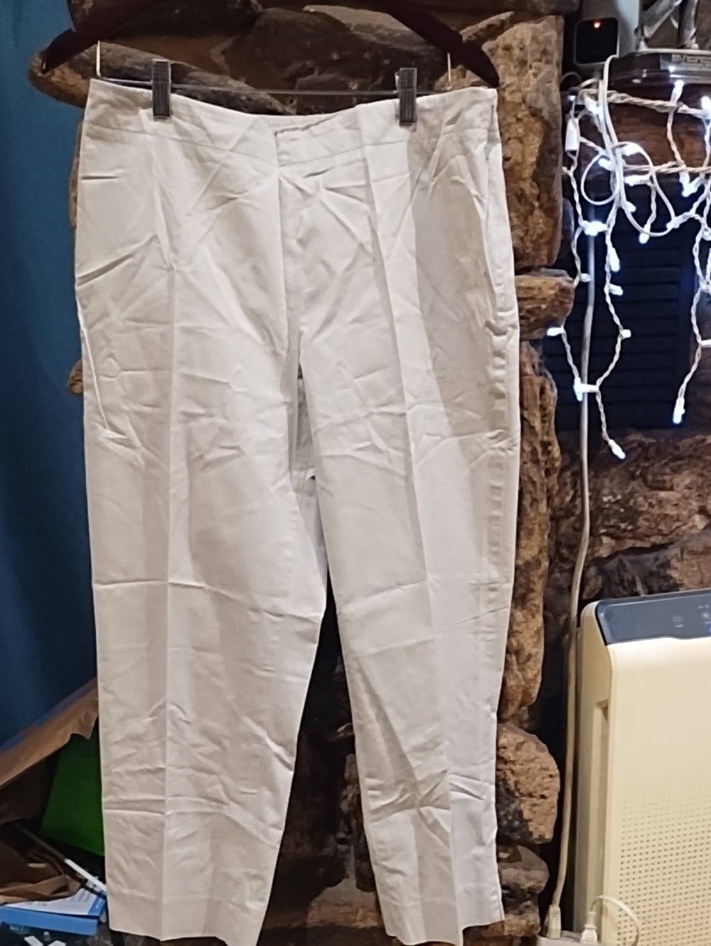 Talbot's Beige Cropped Pants – Classic Tailored Fit